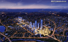 做为不雅存正在的物质形态